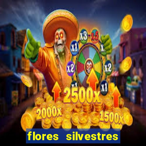 flores silvestres desbravadores desbravadores 25 flores silvestres e seus nomes