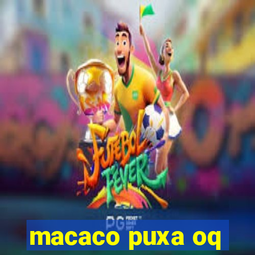 macaco puxa oq