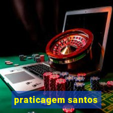 praticagem santos