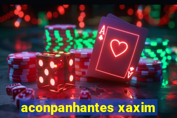 aconpanhantes xaxim