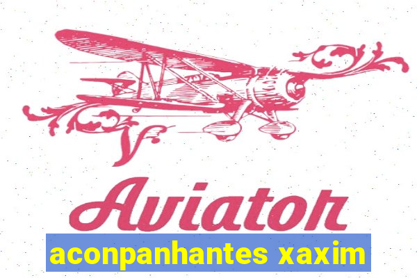 aconpanhantes xaxim