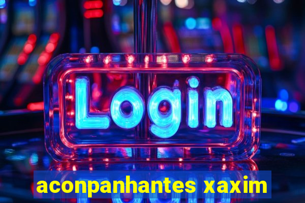 aconpanhantes xaxim