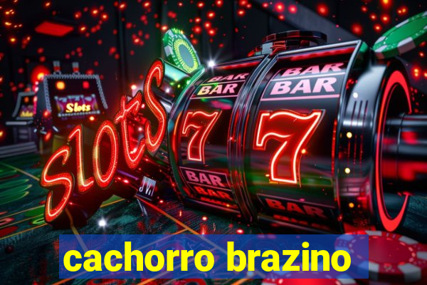 cachorro brazino