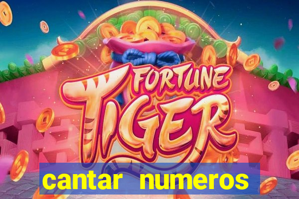 cantar numeros bingo online