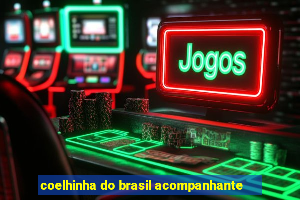 coelhinha do brasil acompanhante