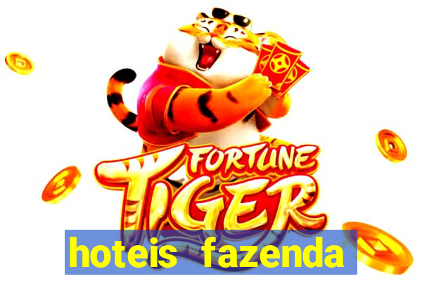 hoteis fazenda porto velho