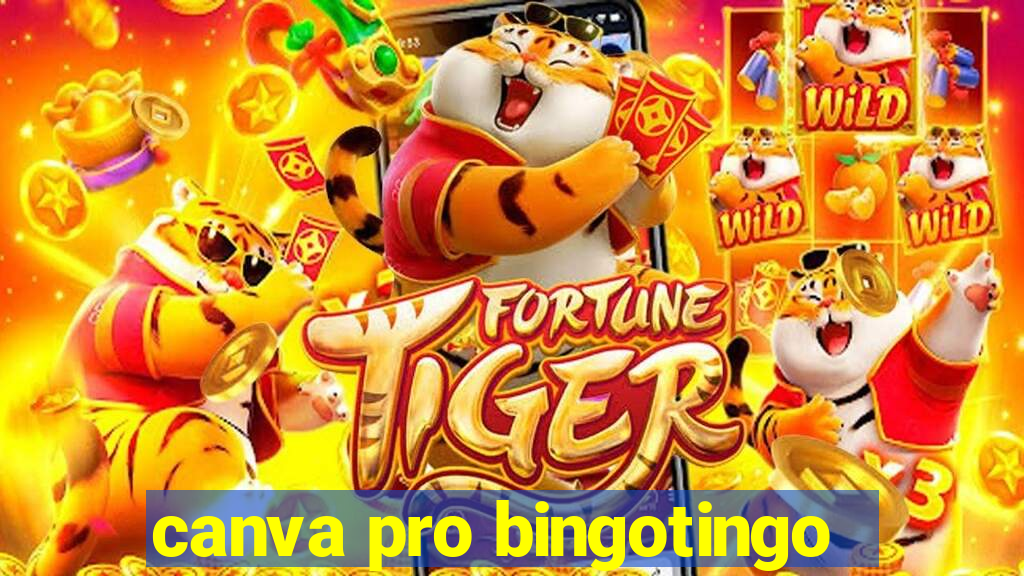 canva pro bingotingo