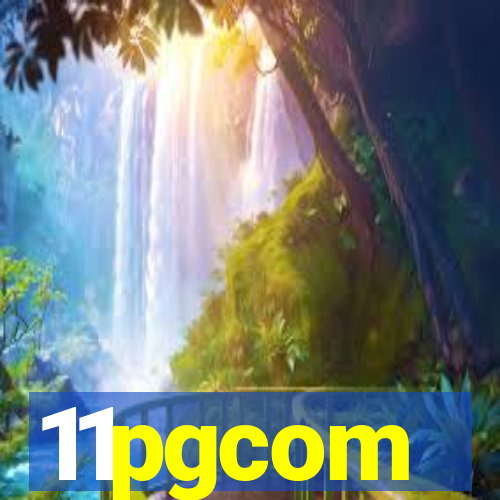 11pgcom