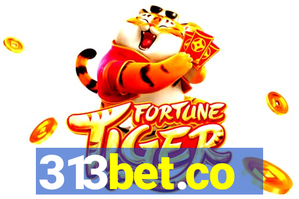 313bet.co