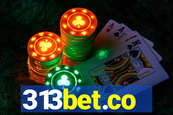 313bet.co