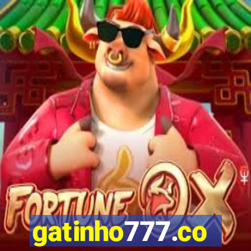 gatinho777.co