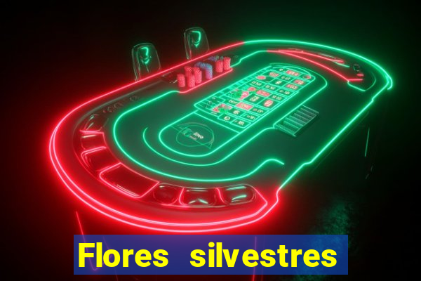 Flores silvestres brasileiras brasileiras flores silvestres nomes e imagens