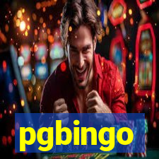 pgbingo