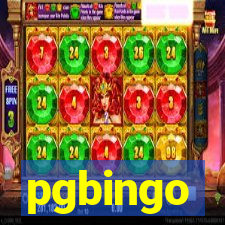 pgbingo