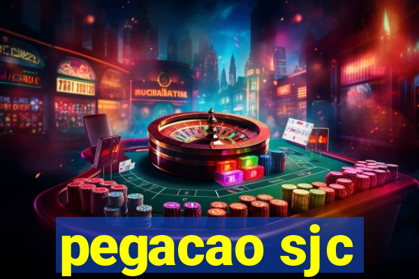 pegacao sjc