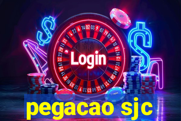 pegacao sjc