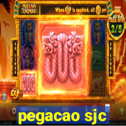 pegacao sjc