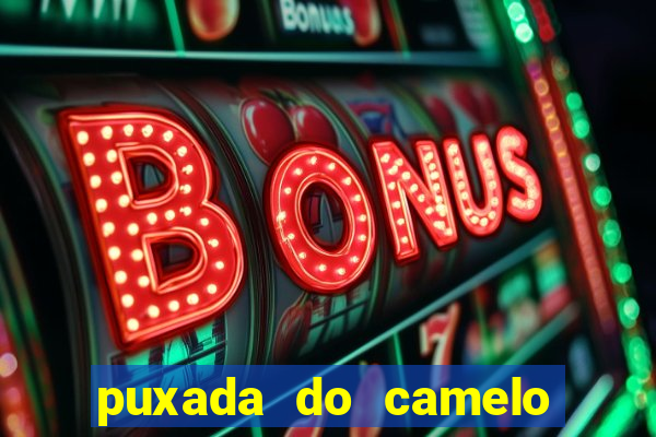 puxada do camelo no jogo do bicho