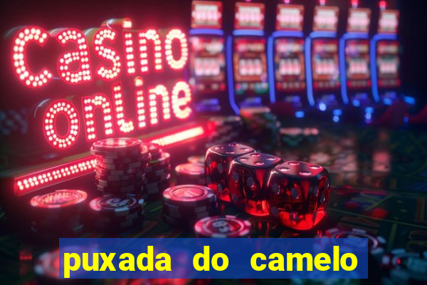 puxada do camelo no jogo do bicho