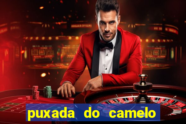 puxada do camelo no jogo do bicho