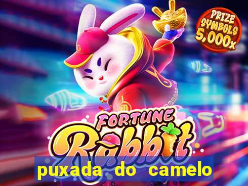 puxada do camelo no jogo do bicho