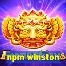 npm winston