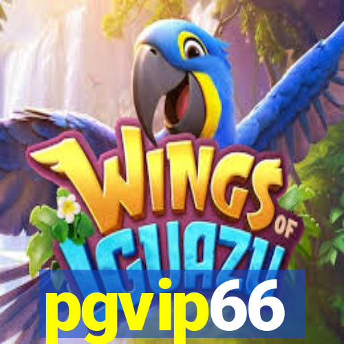 pgvip66