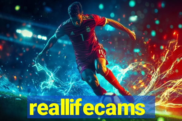 reallifecams