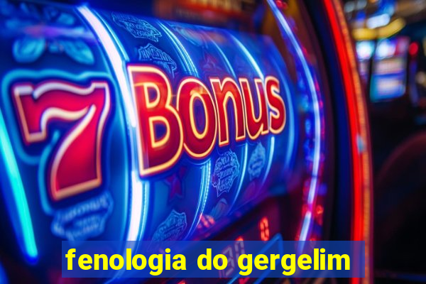 fenologia do gergelim