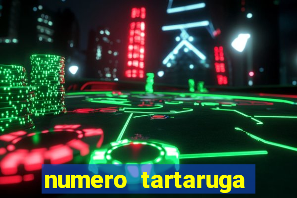 numero tartaruga jogo do bicho