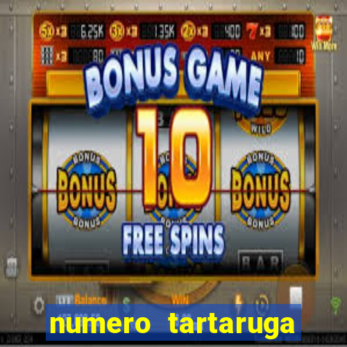 numero tartaruga jogo do bicho