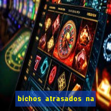 bichos atrasados na loteria federal