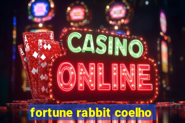 fortune rabbit coelho