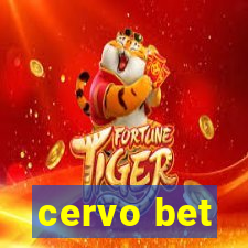 cervo bet