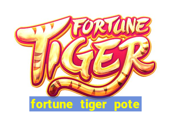 fortune tiger pote de ouro completo