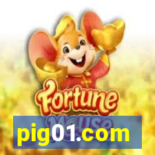 pig01.com