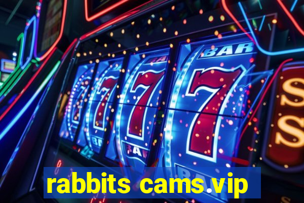 rabbits cams.vip