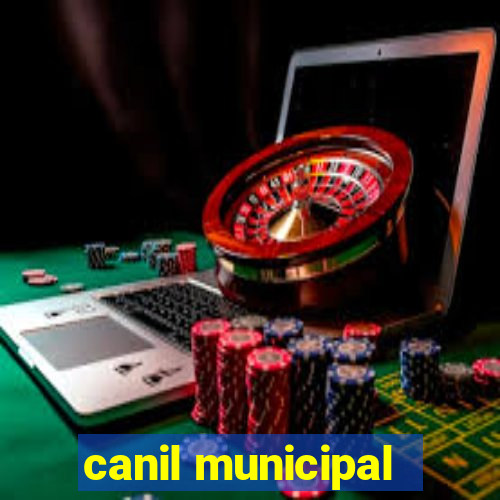 canil municipal