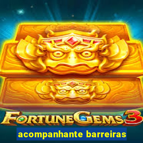 acompanhante barreiras