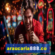 araucaria888.com