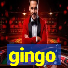 gingo