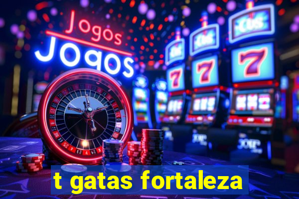 t gatas fortaleza