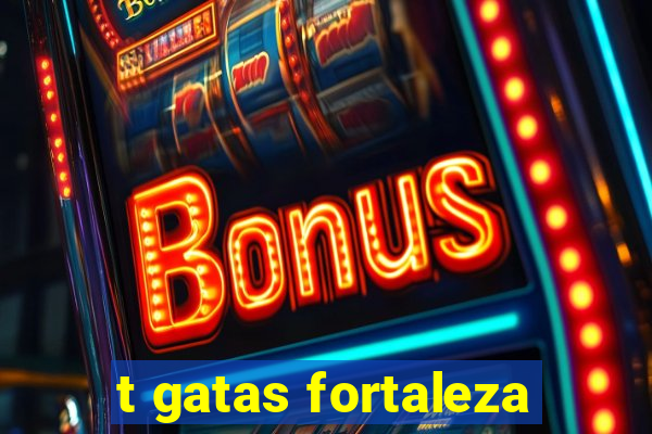 t gatas fortaleza