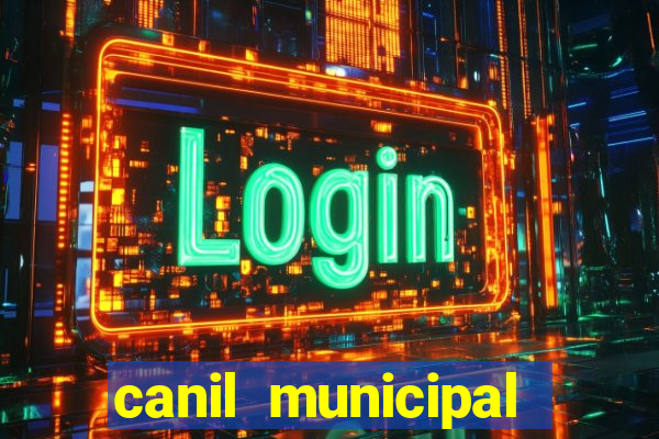 canil municipal porto alegre