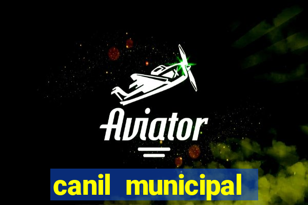 canil municipal porto alegre