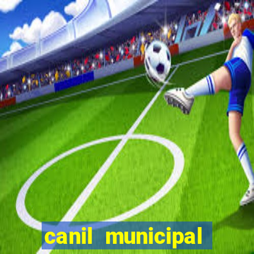 canil municipal porto alegre