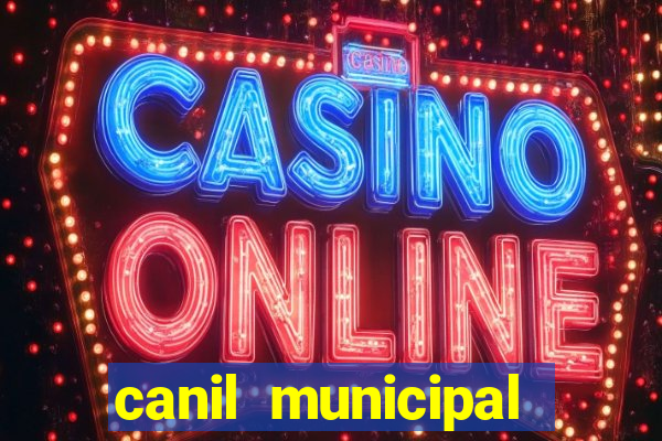 canil municipal porto alegre