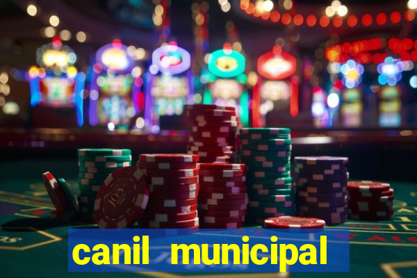 canil municipal porto alegre