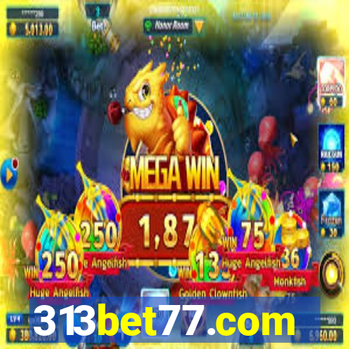 313bet77.com