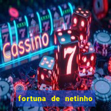 fortuna de netinho de paula